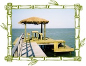 2007 Photos